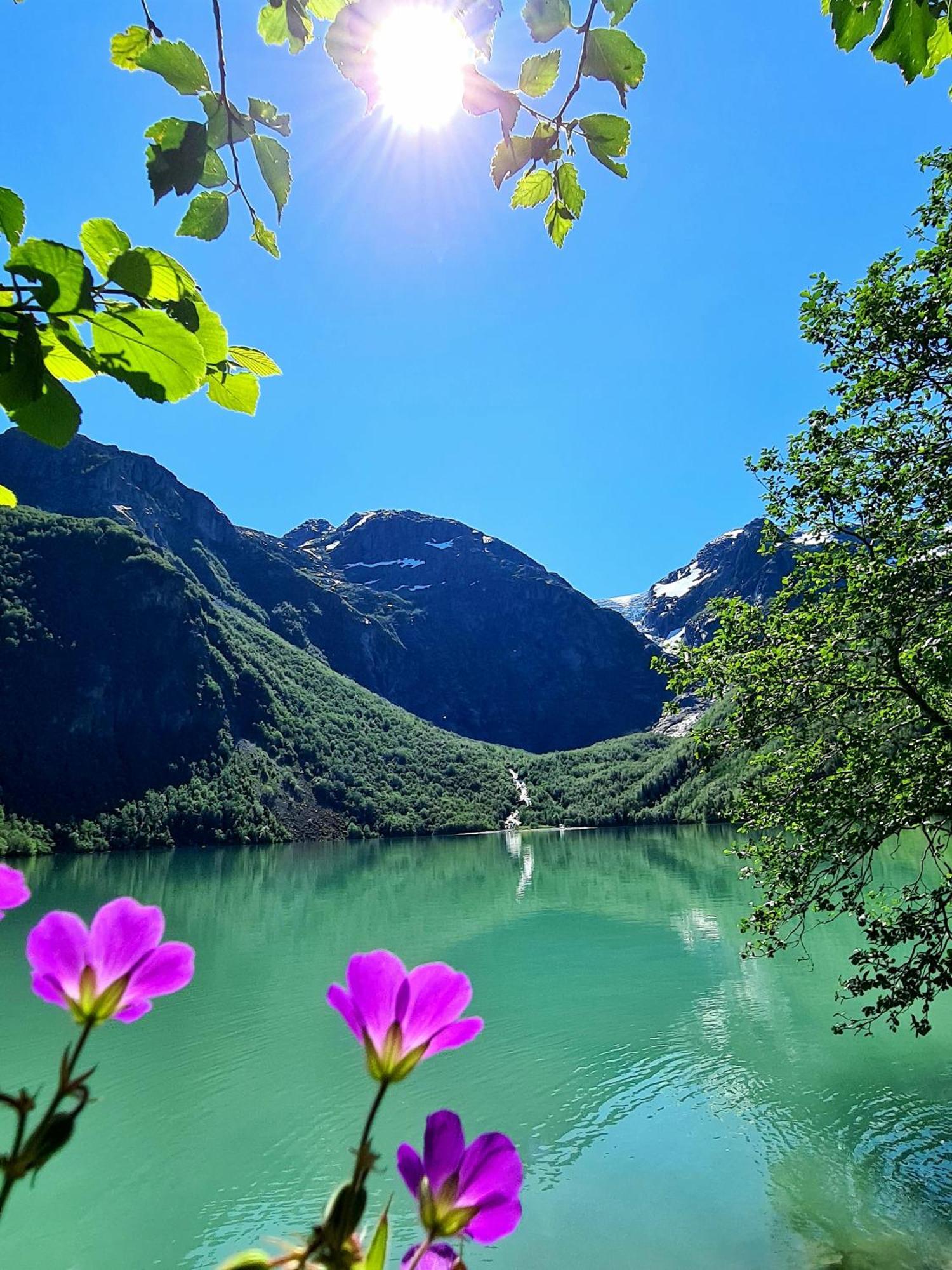 Rosendal Fjordhotel المظهر الخارجي الصورة
